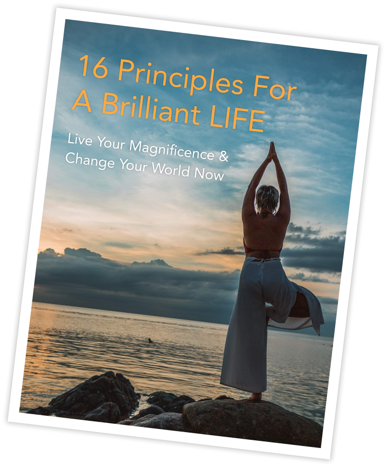 16 Principles for A Brilliant Life - Live Your Magnificence and Change Your World Now