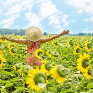 Woman in field of yellow sunflowers with expansive, joyful arms. Come blossom with your greatest asset, sunny enthusiasm with our Mind Beliefs course!