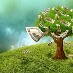 A tree of money and financial abundance. Rewire your mindset with an abundant mindset with Mind Beliefs courses!